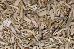 biomass boilers Lagness